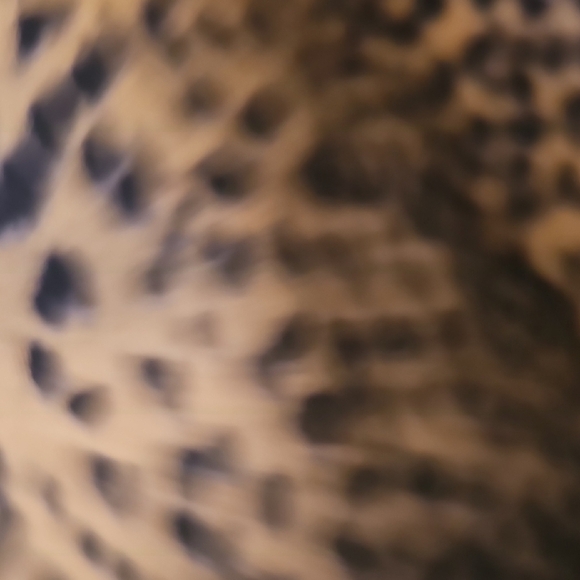 Old Navy NWT Girls Leopard Print Rockstar Jeggings Size 14 Super Soft - Picture 5 of 8